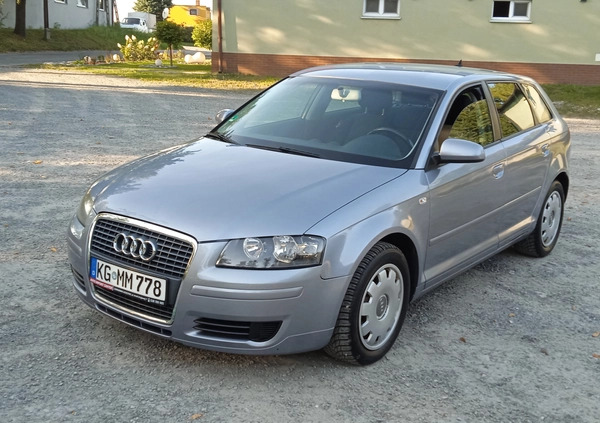 Audi A3 cena 19800 przebieg: 205000, rok produkcji 2005 z Stopnica małe 436